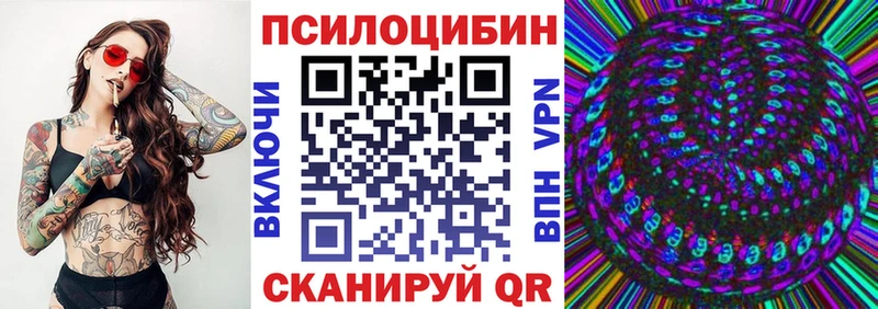 закладка  Сызрань  Галлюциногенные грибы прущие грибы 
